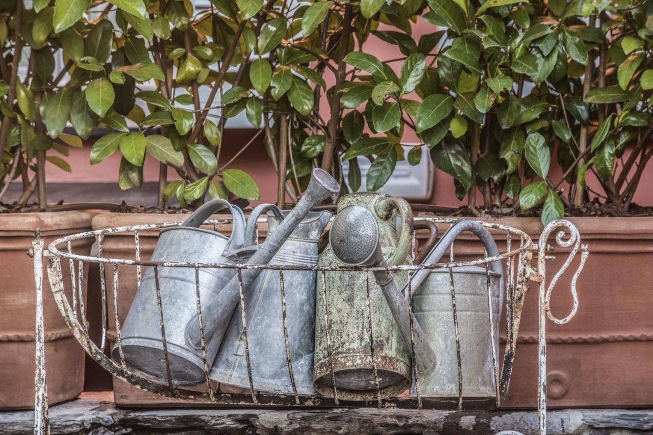 Relais Del Maro Ξενοδοχείο Borgomaro Εξωτερικό φωτογραφία
